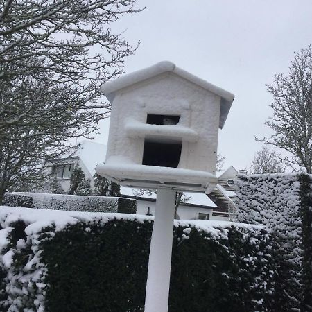 B&B Colombe Blanche Knokke-Heist Kültér fotó
