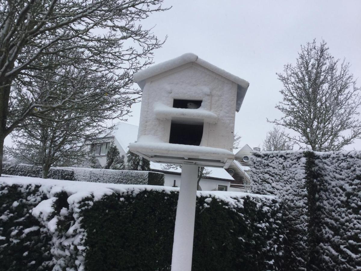 B&B Colombe Blanche Knokke-Heist Kültér fotó
